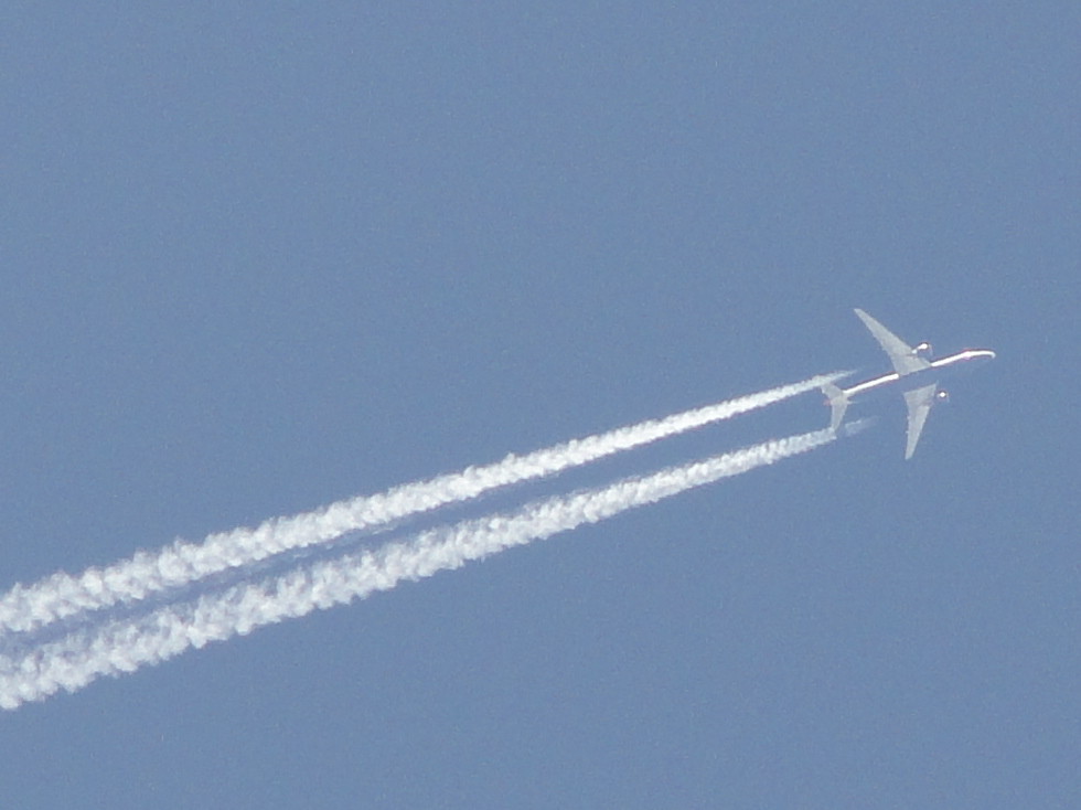 Navi Mumbai Airport flights