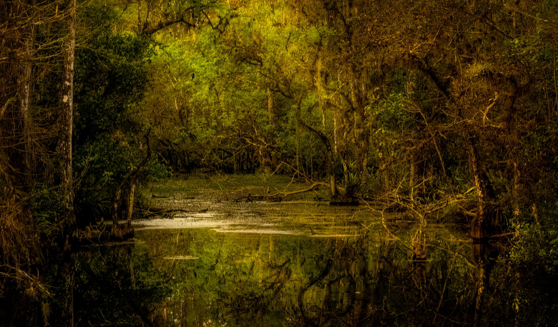 Tiana’s Bayou Adventure